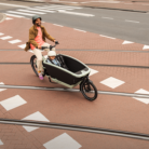 Urban Arrow FamilyNexty