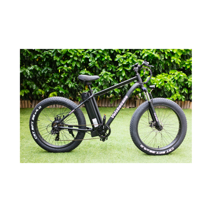 velo-electrique-velobecane-fatbikea