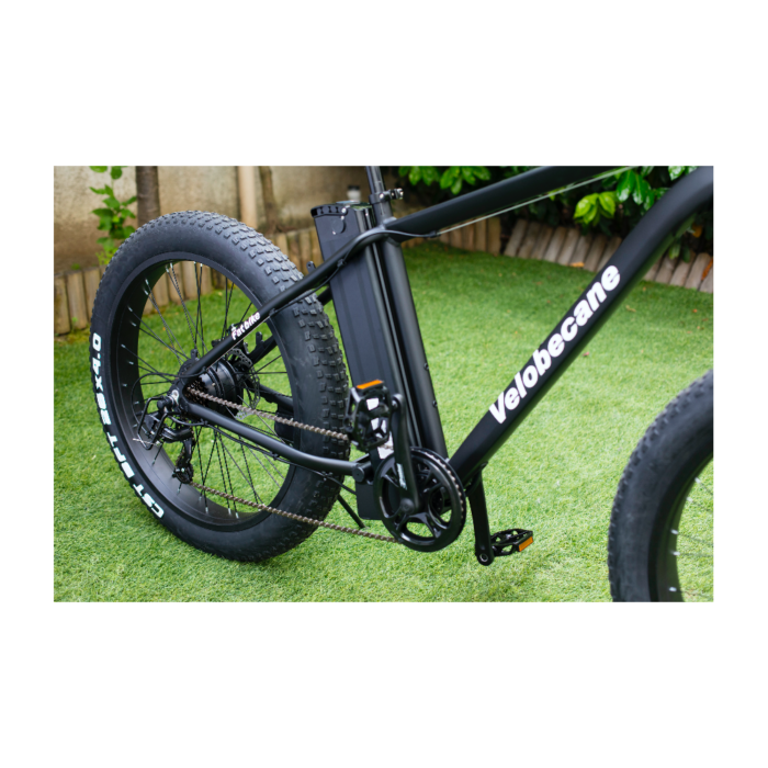 velo-electrique-velobecane-fatbikez